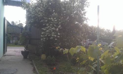 Гостиница Valentina Guest House Щербинка
